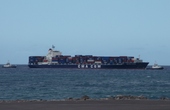 CMA CGM Lavender